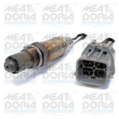 Oxygen Sensor
